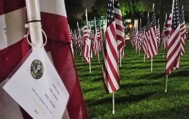 True Patriots Care Stages 400 U.S. Flags of Honor in Wilder Park